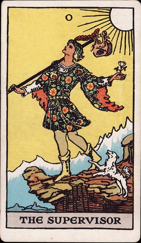 Tarot PNGS_Supervisor